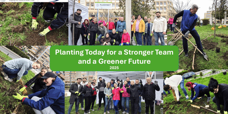 flashnet planting activity 2025